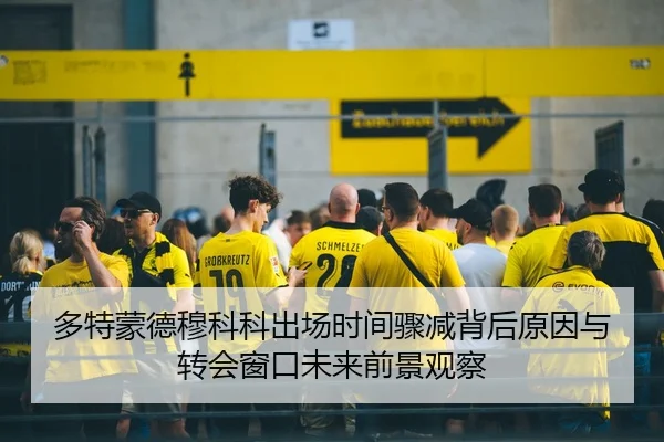 多特蒙德穆科科出场时间骤减背后原因与转会窗口未来前景观察