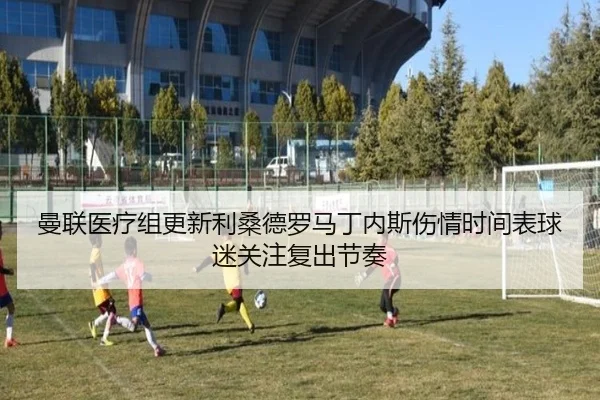 曼联医疗组更新利桑德罗马丁内斯伤情时间表球迷关注复出节奏